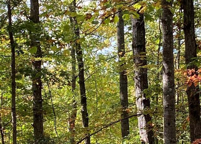 Property at Lot 28 Mentink Way, Nebo, NC 28761