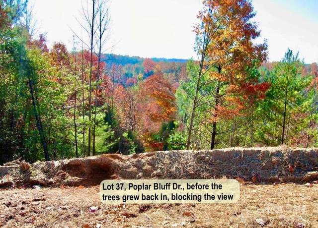 Property at 3.31 acres, Lot 37 Poplar Bluff Dr SE #37, Lenoir, NC 28645