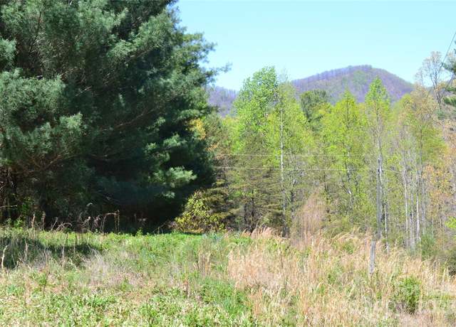 Property at 00 Swaringen Rd, Traphill, NC 28685