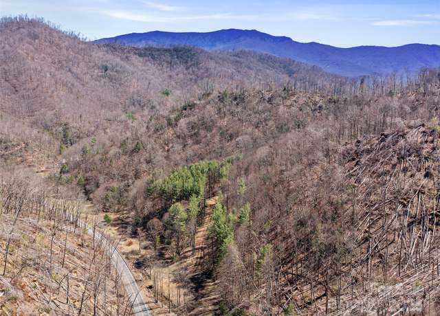 Property at 0 NC Highway 226 None, Bakersville, NC 28705
