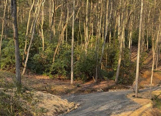 Property at 99999 Brooksong Dr, Asheville, NC 28805