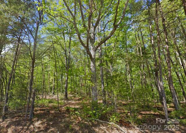Property at 0 Pleasant Grove Rd, Rutherfordton, NC 28139