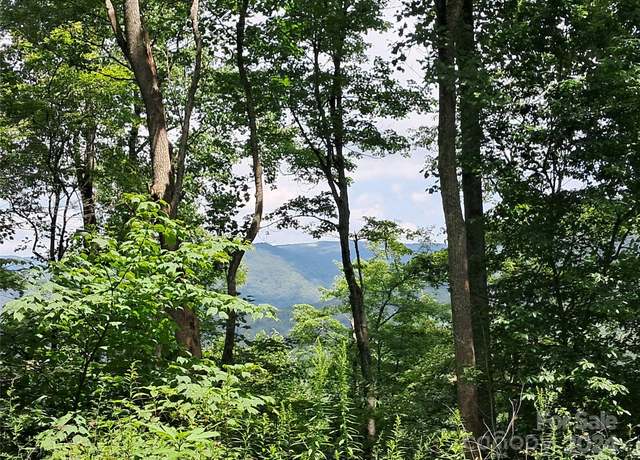 Property at 00 Hurricane Ridge Trce #53, Clyde, NC 28721