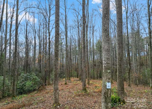 Property at Lot 80 Mountain Grove Ln Lot 80, Fletcher, NC 28732