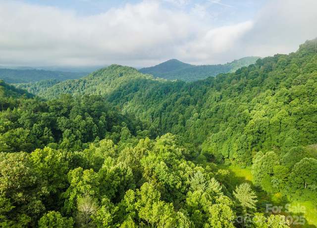 Property at 99999 Renfro Rd, Green Mountain, NC 28740