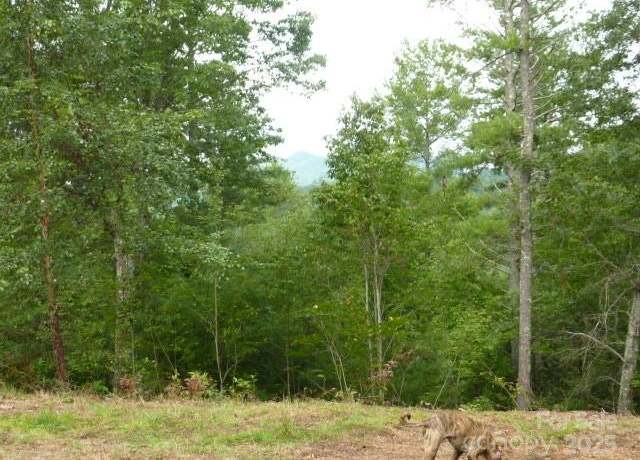 Property at 240 Thunderhead Dr, Marshall, NC 28753