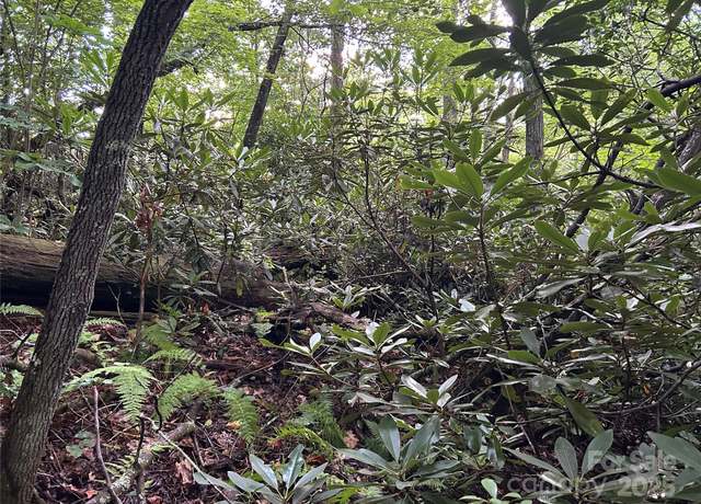 Property at TBS Salisbury St, Saluda, NC 28733