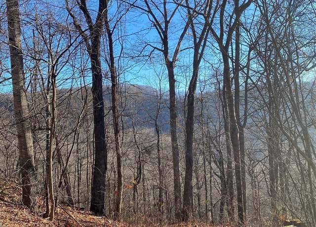 Property at 000 Wash Freeman Rd, Hendersonville, NC 28792