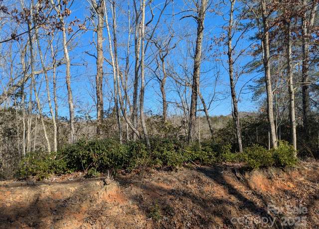 Property at 0 SE Old Crows Dr Unit L389, L390, Lake Lure, NC 28746