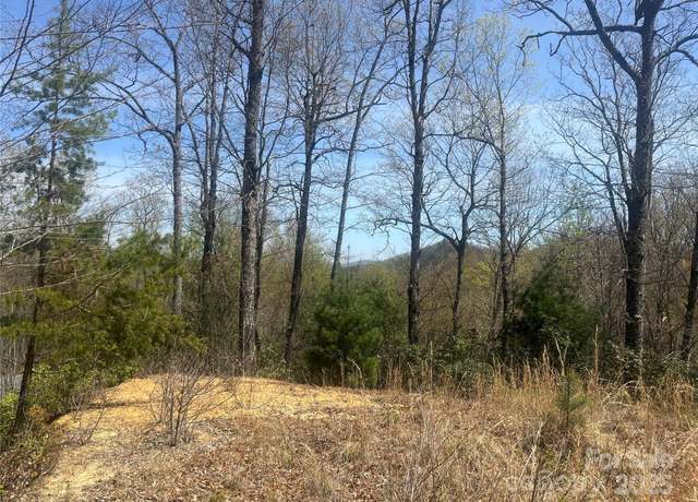 Property at 32 Wild Iris Rd, Brevard, NC 28712