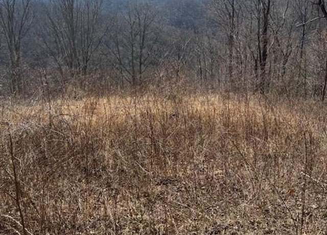 Property at TBD Rickman Rdg, Canton, NC 28716