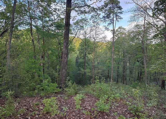 Property at 0 Willow Top Ln #315, Lake Lure, NC 28746