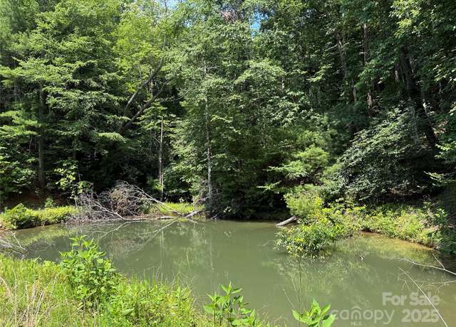 Property at TBD Staghorn Rd, Purlear, NC 28665