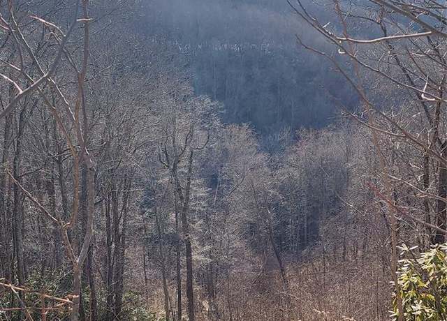 Property at 9999 Still Spring Rd Lot 4, Black Mountain, NC 28711