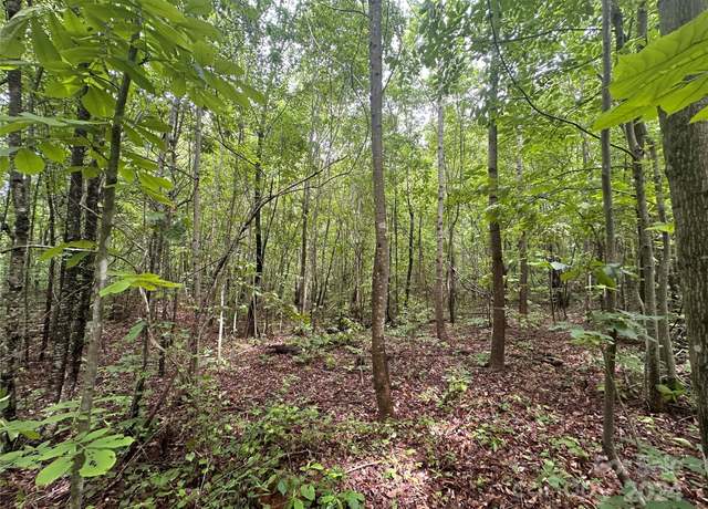 Property at 0000 Section House Rd, Hickory, NC 28601