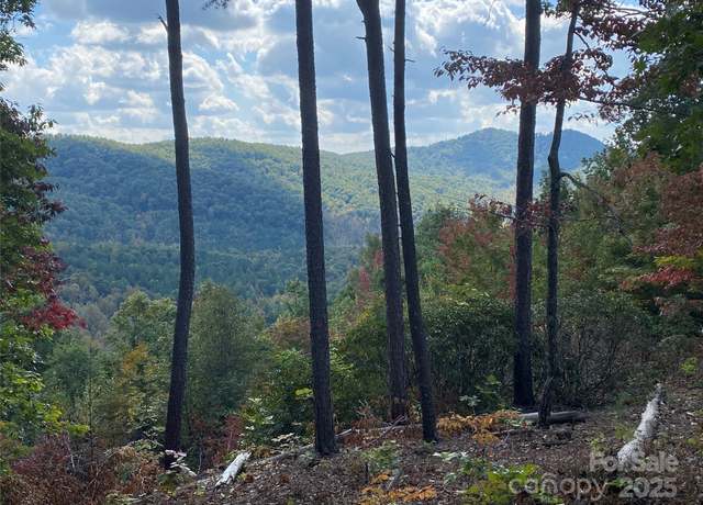 Property at 61 Scenic Vista Dr #238, Nebo, NC 28761