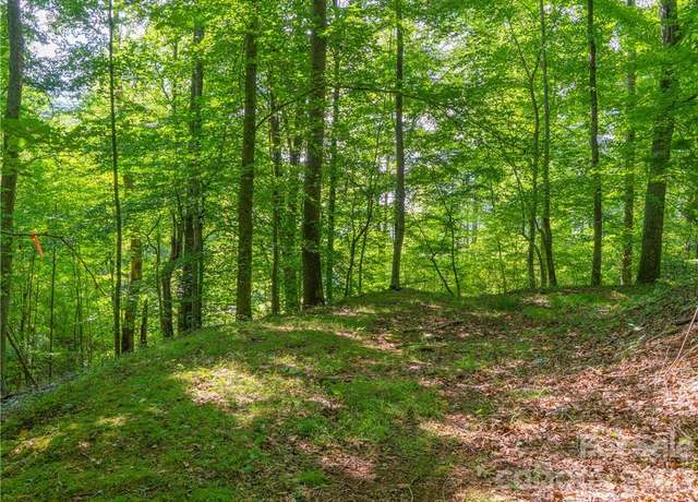 Property at Lot 8 Locust Rough Mountain Rd, Burnsville, NC 28714