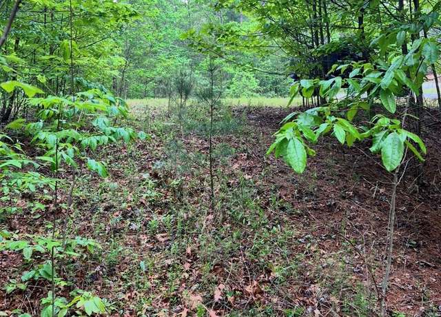 Property at 0000 Conroy Ct, Collettsville, NC 28611