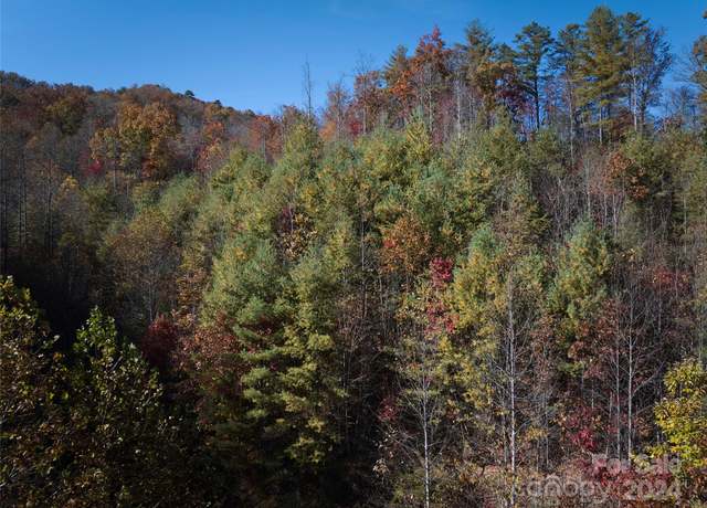 Property at 0 Wesser Creek Rd, Bryson City, NC 28713