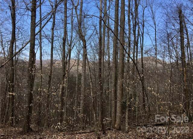Property at 99 &57 Fern Hill Dr, Mars Hill, NC 28754