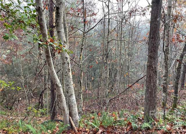 Property at Lot 43 Kimiko Ln, Balsam Grove, NC 28708