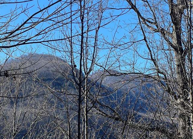 Property at Lot 42 Hawks Nest Trl, Lake Lure, NC 28746