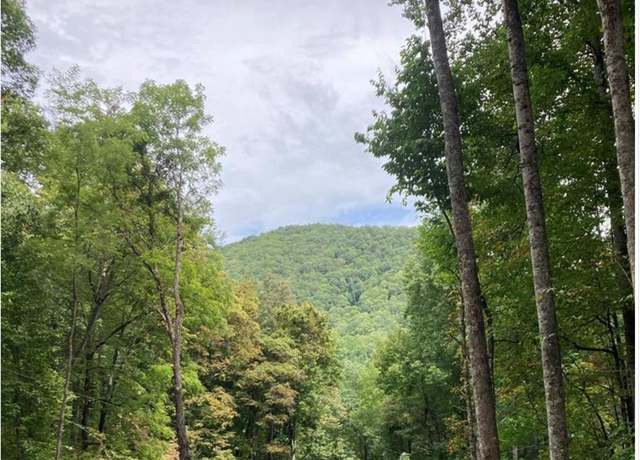 Property at 0 Laurel Dr Lot 9, Whittier, NC 28789