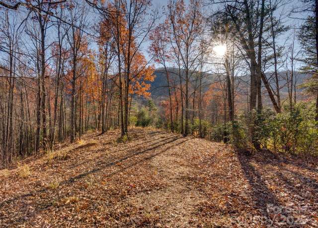 Property at 263 Nuthatch Ln, Black Mountain, NC 28711