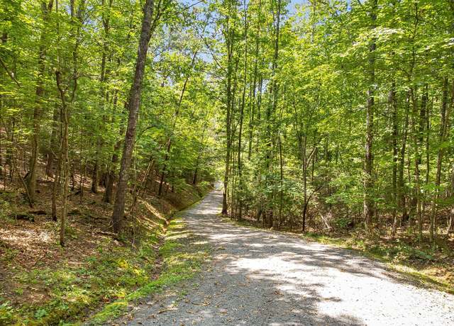 Property at 99999 Rowan Hill Rd, Leicester, NC 28748