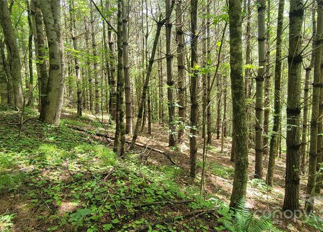 Property at 000 Eagle Bridge Rd, Burnsville, NC 28714