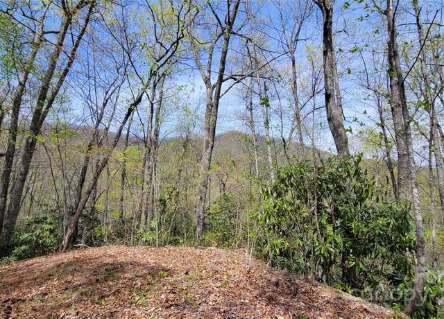 Property at 31 Lacy Fern Rdg #31, Sylva, NC 28779