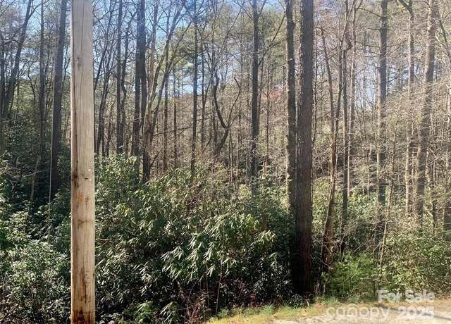Property at 22 Double Creek Rd Lot 22 & 25, Brevard, NC 28712