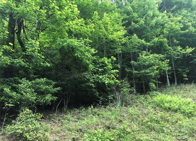 Property at 000 N Blue Ridge Pkwy E #167, Jefferson, NC 28640