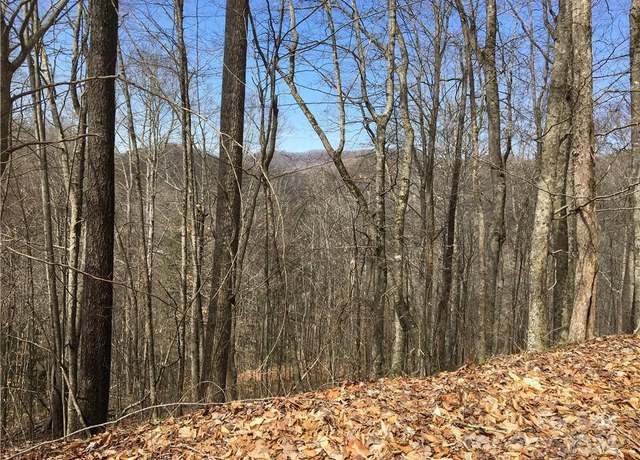 Property at TBD Fern Hill Dr Unit 28-29, Mars Hill, NC 28754