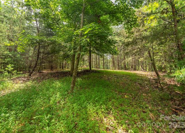 Property at LOT 46 Black Forest Dr, Marion, NC 28752
