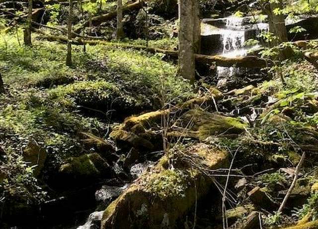 Property at 976 Slippery Rock Rd, Waynesville, NC 28785