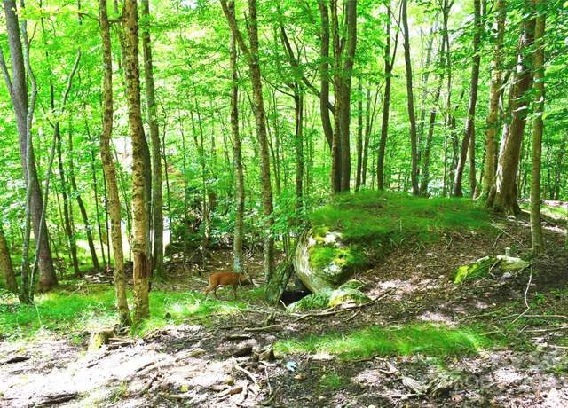Property at 153 Hornbeam Rd Unit 115-B, Beech Mountain, NC 28604