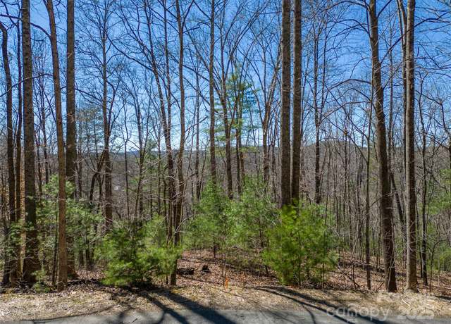 Property at 132 Overlook Park Dr #51, Hendersonville, NC 28792