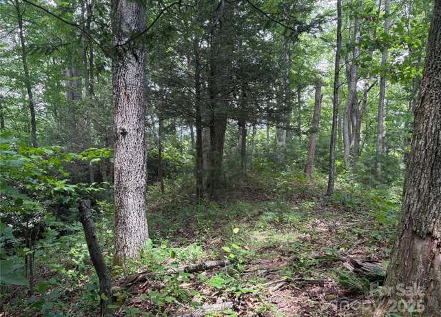 Property at 00 Early Frost Pl #98, Waynesville, NC 28785