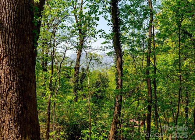 Property at 147 Sidney Lanier Dr, Lake Lure, NC 28746