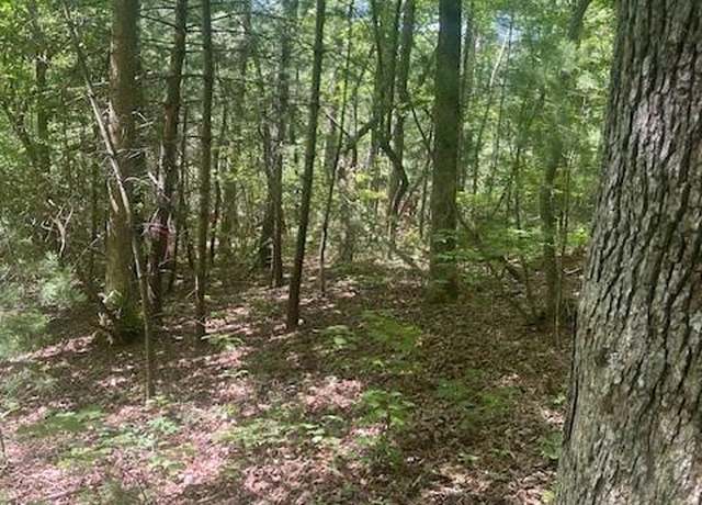 Property at Lot 10 Copperhead Trl, Hendersonville, NC 28739