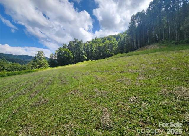 Property at 5570 Meadow Fork Rd, Hot Springs, NC 28743