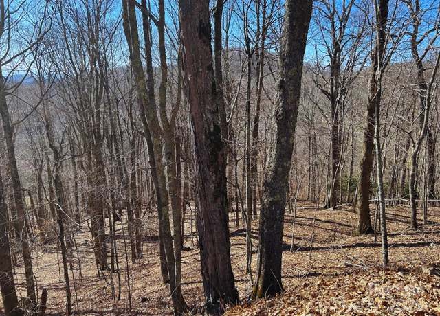 Property at 692 Oak Ridge Ln Unit 61-Lot-A, Mars Hill, NC 28754