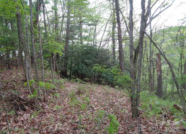 Property at 00 Promiseland Rd, Canton, NC 28716
