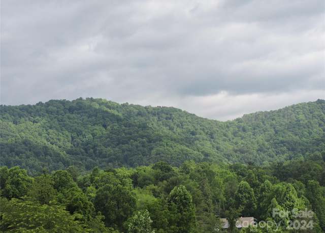 Property at 60 Gins Ln Lot 11, Mars Hill, NC 28754