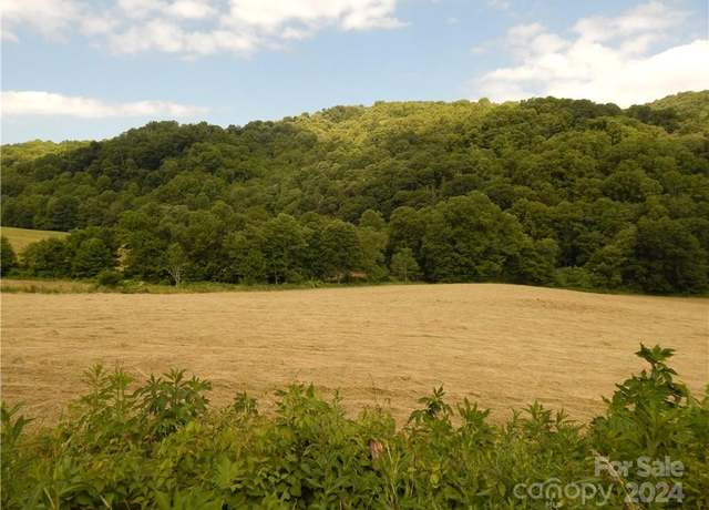 Property at 0 NC 209 Hwy, Hot Springs, NC 28743