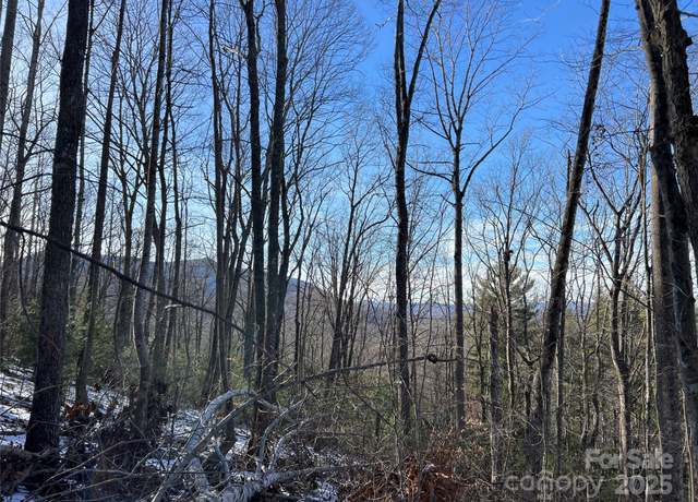 Property at TBD (Lot 8) Woodland Rdg, Lansing, NC 28643