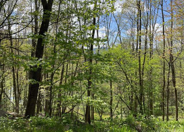 Property at 000 Peregrine Ln Lot A, Bakersville, NC 28705