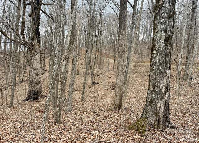 Property at TBD Alderfly Ct, Spruce Pine, NC 28777