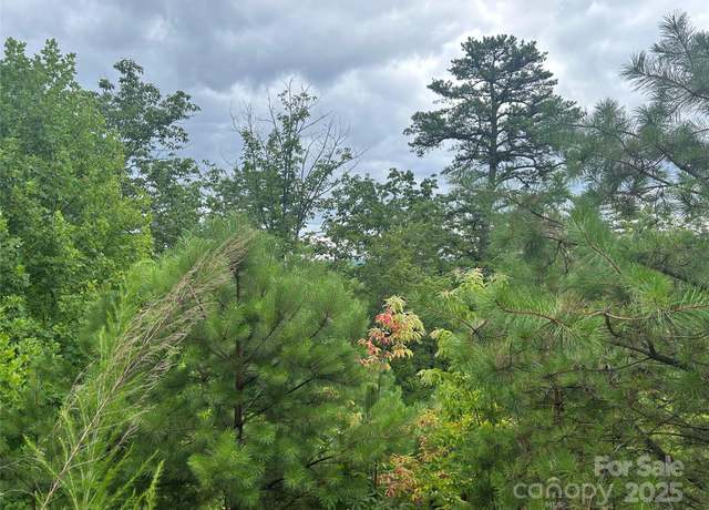 Property at tbd Lobelia Ln #72, Boone, NC 28607